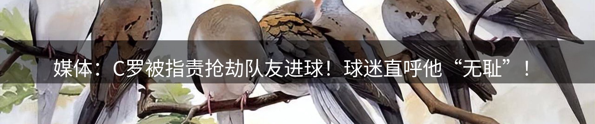 动态播报