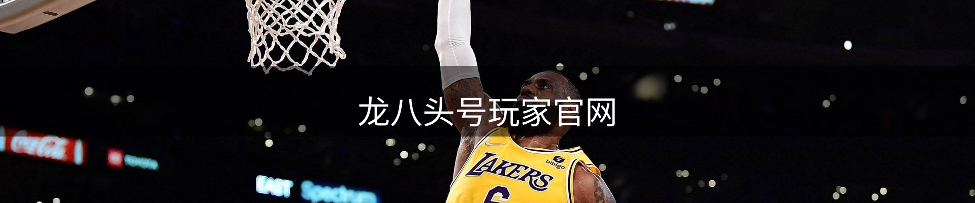 龙八头号玩家官网